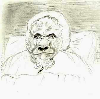 The mischievous ape